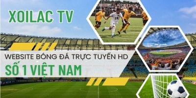 Thưởng thức bóng đá trực tuyến không giới hạn với xoilac-tv.in